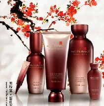 美膚寶化妝品: 加盟店策略與計(jì)算機(jī)網(wǎng)絡(luò)技術(shù)開發(fā)的融合